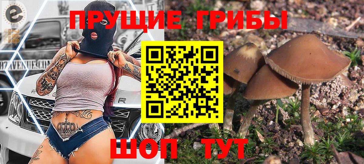 ГАШИШ Новоуральск