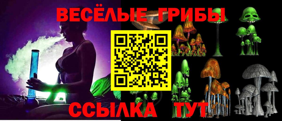 Псилоцибиновые грибы ЛСД Новоуральск
